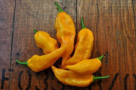 SL 25 Seeds Fatalii Pepper Pepper Garden Vegetables Planting Edible Food - $3.44