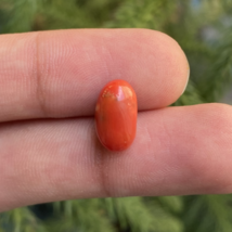 Natural Coral Gemstone, Oval Shape Coral, Gift For Her, Jewelry Making G... - $9.99