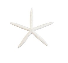 Gallaria II Large Starfish Ornament Wall Hanging White 9 inches - £9.69 GBP