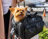 The Lux Pet Carrier Black Faux Leather Pee Pad Insert - $161.50