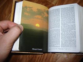 Item image 15