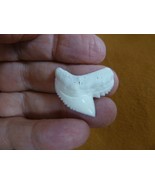(s5-68) 1-1/4" inch modern White TIGER SHARK TOOTH teeth made to order p... - €29,20 EUR (s5-68) 1-1/4" inch modern White TIGER SHARK TOOTH teeth made to order p... - €29,20 EUR