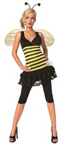 Toy Island Girls Adult Honeybee Costume, Small/Size 6-8 - £92.61 GBP