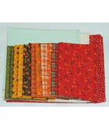 Quilt Kit - In a Fruit Jar Autumn 58&quot; x 34&quot; Flowers Jars Quilting Kit M4... - $1,310.90 MXN