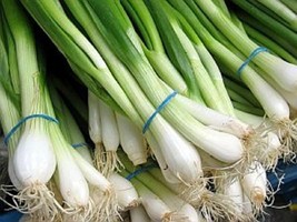 Onion Tokyo Long White Seeds 200+ Bunching Scallion Vegetable - $8.78