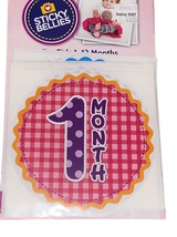Babys First Year Milestone Belly Stickers 1-12 Month Stickers Peel Stick... - £5.47 GBP
