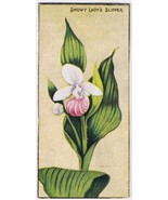 Cowan Co Toronto Card Snowy Lady&#39;s Slipper Wild Flowers Of Canada - $9.89