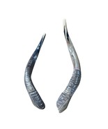 Nyala Yemenite Shofar, 1 Polished Nyala Horn Shofar, Size Approx. 14&quot; st... - $81.22 CAD