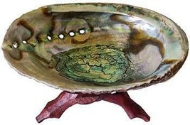 5"- 6" Abalone Shell incense burner with stand - $1,466.38 MXN