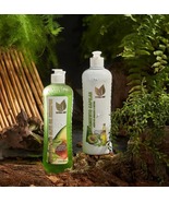 Kit Shampoo y tratamiento Aguacate y aceite de oliva - $25.00