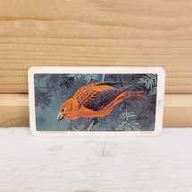 Red Rose Tea Mini Trade Card 2&quot; x 1&quot; Vintage 1966 S9N42 Red Crossbill Birds - $19.99