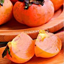 5 Seeds Japanese Persimmon Plants Persimmon Fruit Tree Seeds Big Red Fruits Beau - £5.64 GBP