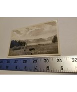 Lake Tahoe View Postcard Horses Field Postal Card Black White Tree Home ... - $9.49