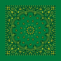 Kelly Green/Yellow 22&quot; x 22&quot; Paisley Print Bandana - $8.45