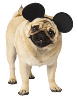 Rubies Disney Mickey &amp; Friends Pet Costume Accessory, Mickey Mouse, Medium/Large - £32.14 GBP