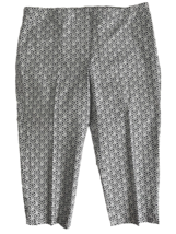 NWT Talbots Blue and White Shell Print Flat Front Slim Crop Pants Size 22W - £44.55 GBP