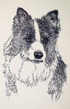 Border Collie Dog Art Print #236 DRAWN FROM WORDS Kline adds your dogs n... - £38.75 GBP