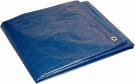 Dry Top 1620 Medium Duty Tarp, 16x20 Feet, Blue - $28.50