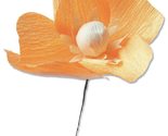 Sizzix Thinlits Die Set 5PK California Poppy by Lisa Jones, 664921, One ... - £15.81 GBP