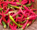 Cayenne Long Slim Chili Hot Pepper Vegetable Seeds Fresh Gardening - $15.00