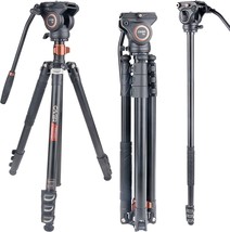 Cayer FP2450 Fluid Head Tripod, 75 inches Aluminium Tripod, 4-Section Compact - £124.69 GBP