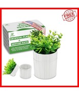 Large Capacity Eucalyptus Denture Bath - Perfect for Home Décor &amp; Functi... - $49.57 CAD