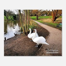 Hoddesdon England Travel Poster Wall Art | Hoddesdon Two Swans The Lake Side Hom - £15.86 GBP