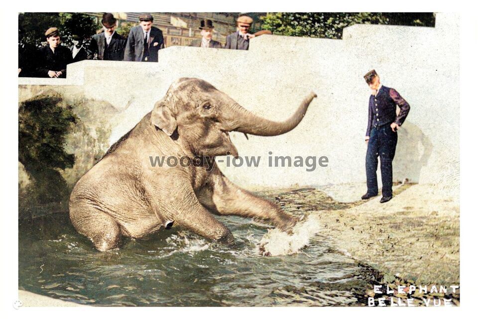 ptc7345 - Lancs - Elephant &amp; his Keeper at Belle Vue, Manchester - print... - $2.80