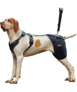 Dog Hip Brace XL Back Handheld Design, Support Hip Dysplasia, Arthritis ... - €51,17 EUR