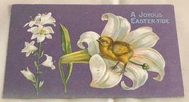 c.1909 Joyous Easter-Tide Chick in Flower Embossed Easter Postcard - £7.82 GBP