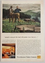 1955 Print Ad Weyerhaeuser Timber Co. Charles Chapman Forester Economist - £12.62 GBP