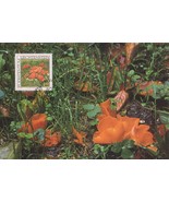 Liechtenstein Maximum Card FDC Fungi, Mushrooms Zayix Stamps 1224A0031 - $2.93