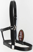 Horse Riding Leather Halter English Western Tack Foal Black 927R17BK - $678.27 MXN