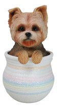 Yorkie Yorkshire Terrier Teacup Puppy Dog Figurine With Glass Eyes Pup I... - $24.99