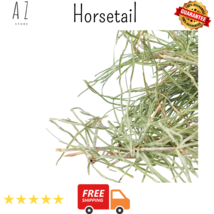 Premium Organic Dried Horsetail Equisetum arvense عشبة ذنب الخيل - $17.09+