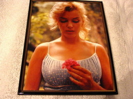 Marilyn Monroe 8X10 Framed Picture #5 - £10.96 GBP