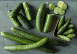 25 Seeds Chelsea Slice Cucumber Planting Edible Food Easy To Grow Garden - £2.85 GBP