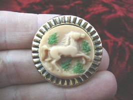 (cs14-24) HORSE tan ivory CAMEO brass Pin Jewelry brooch PENDANT love horses - £22.89 GBP