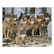 Express Your Love Gifts Wolf Pack Wall Art - £81.39 GBP
