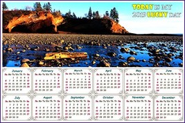 2019 Magnetic Calendar - Calendar Magnets - Today is My Lucky Day (Shepholdy Bay - £6.72 GBP