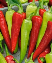 50 Sweet Banana Pepper Seeds Capsicum Annuumgarden Beautiful USA Seller - $6.78