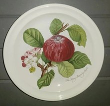 PORTMEIRION 8.5&quot; Salad Plate POMONA The Goddess Of Fruit The Hoary Morni... - $559.19 MXN
