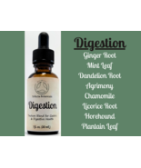 DIGESTION Herbal Tincture Blend / Liquid Extract / Organic Apothecary Herbs - £11.70 GBP