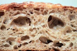 WHARF SAN FRANCISCO SOURDOUGH STARTER culture yeast flour dough dry powd... - $7.72