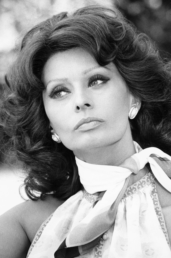 Primary image for Sophia Loren Early 1970's Glamour B&W Poster 18x24 Poster