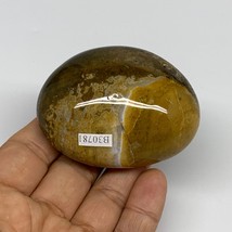 144g, 2.6&quot;x2&quot;x1.3&quot; Natural Ocean Jasper Palm-Stone Orbicular Jasper, B30781 - £9.19 GBP