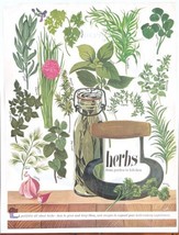 Vintage Magazine Print Ad Kitchen Herbs Plants Horticulture 1960s Boho R... - £11.35 GBP