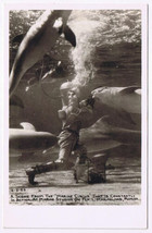 Postcard RPPC Marineland Florida Marine Circus Diver Sharks - £5.49 GBP