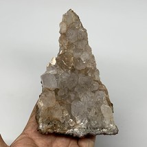 488g, 5.9&quot;x3.1&quot;x1.7&quot;, Rare Manganese Cluster With Quartz Mineral Specimen,B11036 - £47.18 GBP