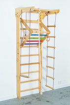 Swedish Sport Ladder w/ Rope Attachments and Monkey Bar for Home Use - £314.40 GBP